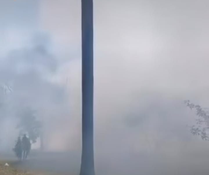 Corpo de Bombeiros combate incêndio em vegetação no Parque das Hortênsias